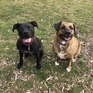 Fundraising Page: Carla Peterson